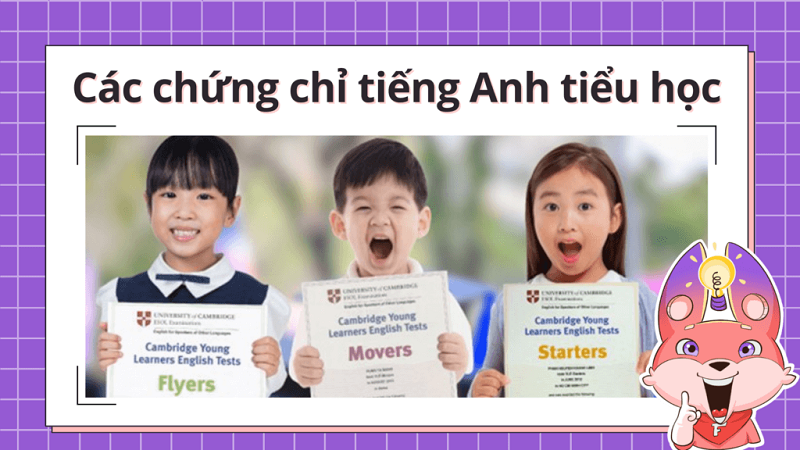 Hệ thống chứng chỉ Cambridge